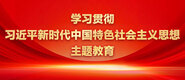 操比试看学习贯彻习近平新时代中国特色社会主义思想主题教育_fororder_ad-371X160(2)